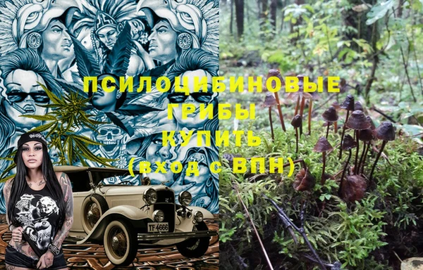 ГАЛЛЮЦИНОГЕННЫЕ ГРИБЫ Навашино