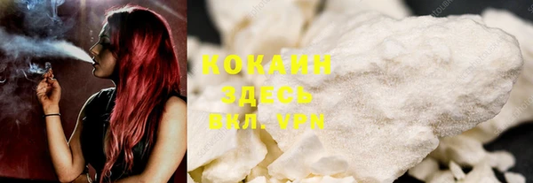 шишки Нефтегорск