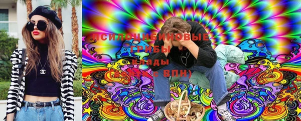 ГАЛЛЮЦИНОГЕННЫЕ ГРИБЫ Навашино