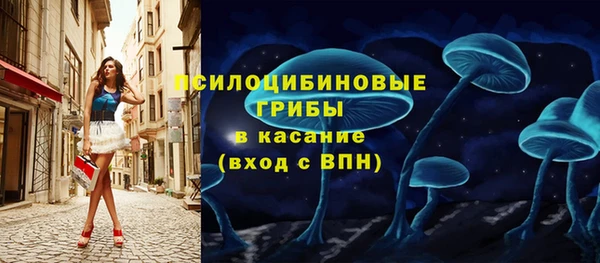 ГАЛЛЮЦИНОГЕННЫЕ ГРИБЫ Навашино