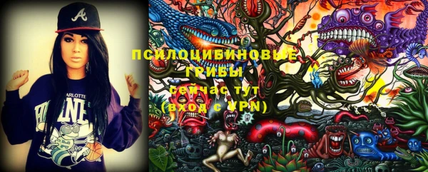 ГАЛЛЮЦИНОГЕННЫЕ ГРИБЫ Навашино