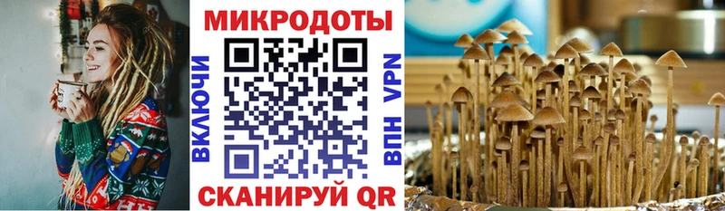 даркнет состав  Суровикино  Галлюциногенные грибы GOLDEN TEACHER 